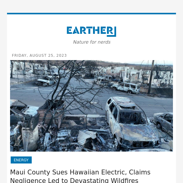 Maui County Sues Hawaiian Electric, Claims Negligence Led to Devastating Wildfires
