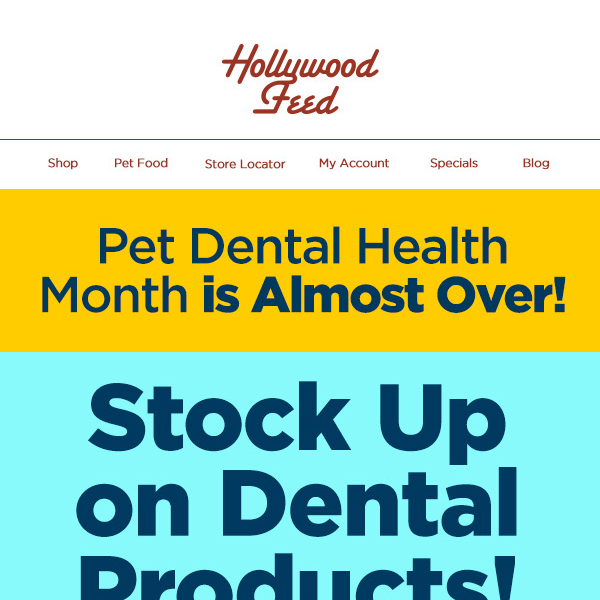 Stock Up on Dental Deals While You Can! 🦷🪥