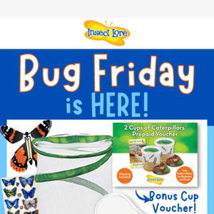 Celebrate Bug Friday With A 40% Discount!