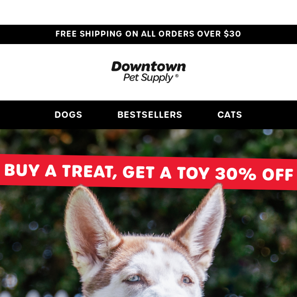 Buy a treat, get a toy 30% OFF