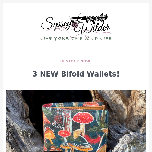 New Bifold Wallets! 🐸🍄✨