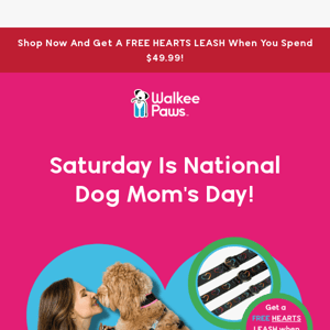 🎁 National Dog Mom's Day Special! ❤️