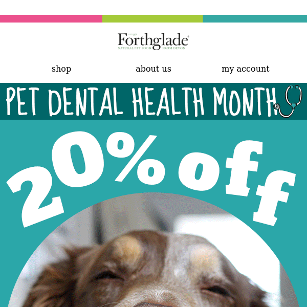 Don't forget... 20% off Dental Sticks