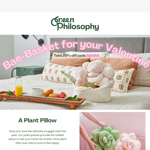 💕 Bae Baskets: Plant Pillow Edition