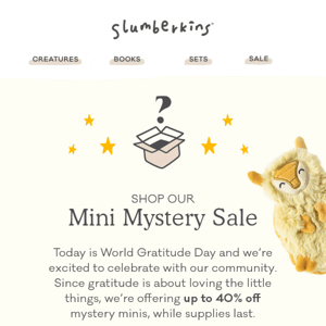 Our Mini Mystery Sale Starts Now!