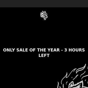 3 HOURS LEFT - ONLY SALE OF THE YEAR