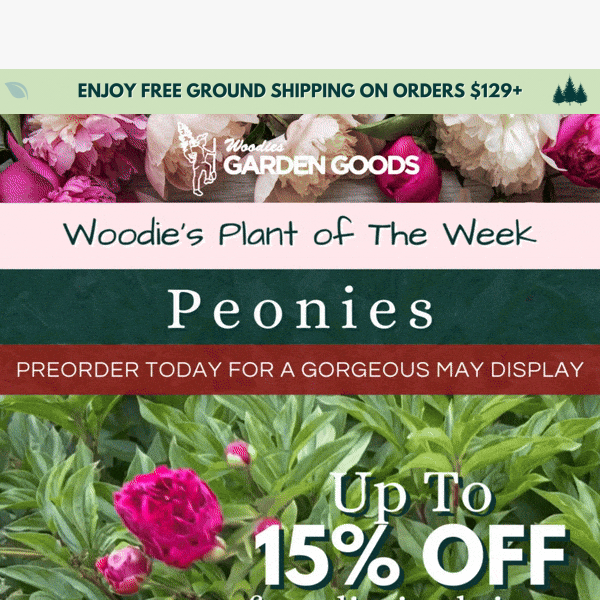 Up To 15% Off Peonies🌷 & More Spring Blooming Favorites!