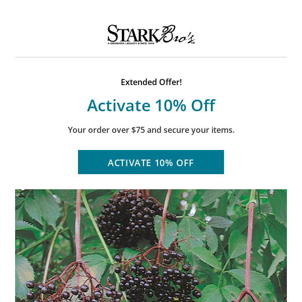 Last Chance! Activate your 10% off before it expires.