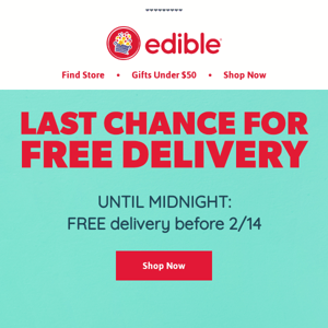 LAST CHANCE: Free 2/13 Delivery