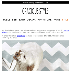 Starting today! 20% off Dash Albert Rugs | Gracious Style