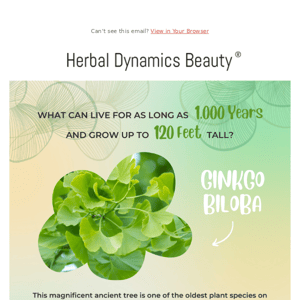 Ginkgo biloba and its skin loving benefits!🌱