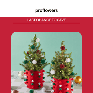 last chance to save 25% on mini trees