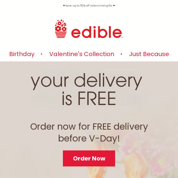 Your Delivery is FREE!