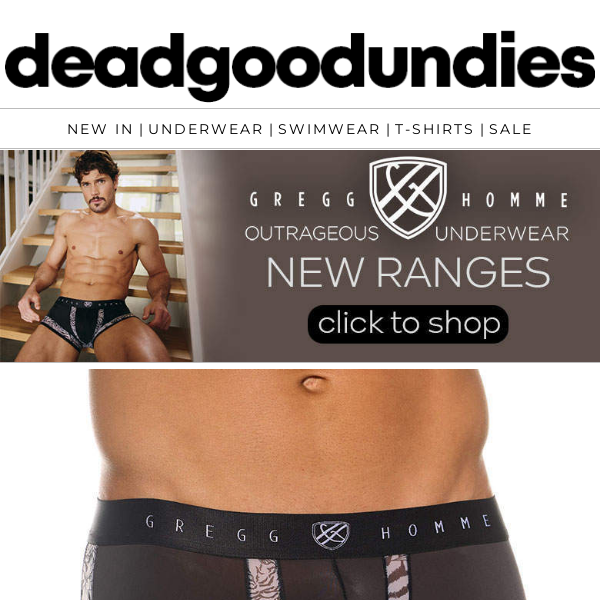 Go undercover in NEW translucent Gregg Homme or leggy Gauvine shorts - Dead  Good Undies