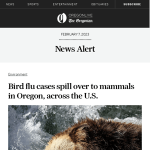 Bird flu cases spill over to mammals in Oregon, across the U.S.