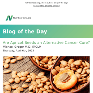 Are Apricot Seeds an Alternative Cancer Cure?