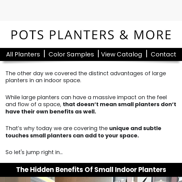 Why Small Planters Might Be the Big Change Your Space Needs