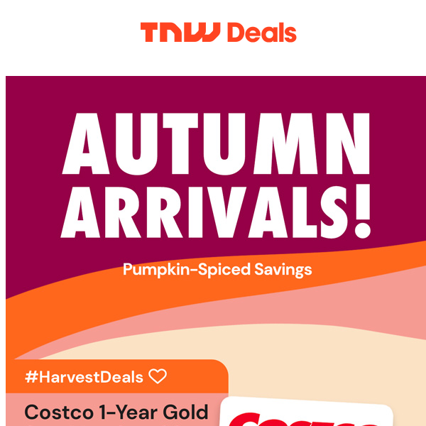 🎃 Our BEST Fall Deals 🍂