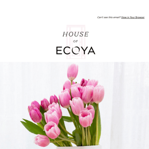 Welcome to the House of ECOYA