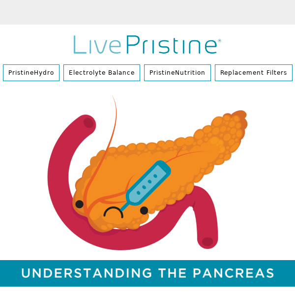 Magnesium and The Pancreas