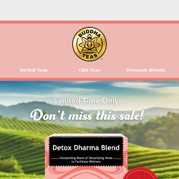 Tea of the Week: Get 50% OFF Detox Dharma Blend