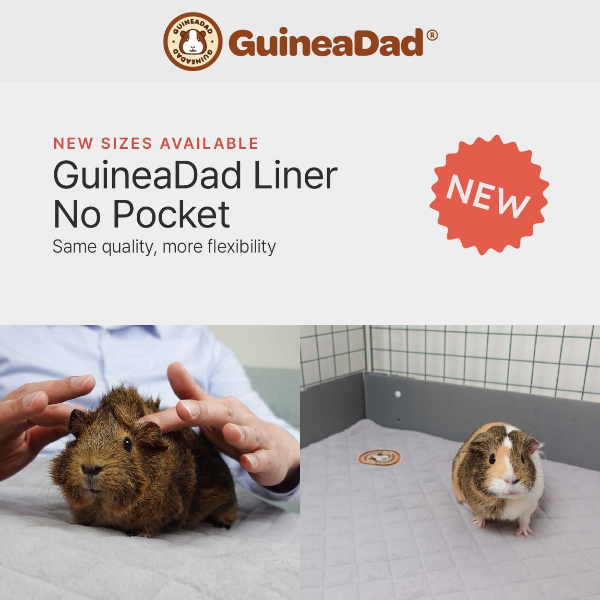 [New Arrival] 👍GuineaDad Liner (No Pocket) is Now Available in Full Cage Sizes!