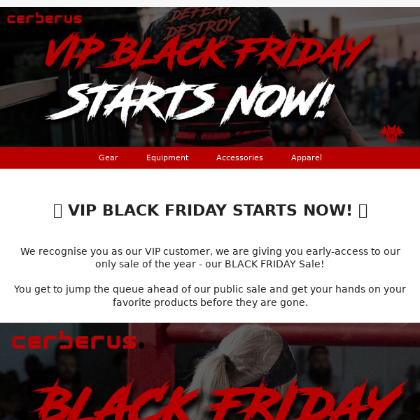 💎 VIP Black Friday Starts Now 💎