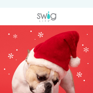 Dog Lovers on Your List?