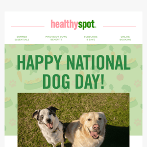 Happy National Dog Day! 🐾🐶