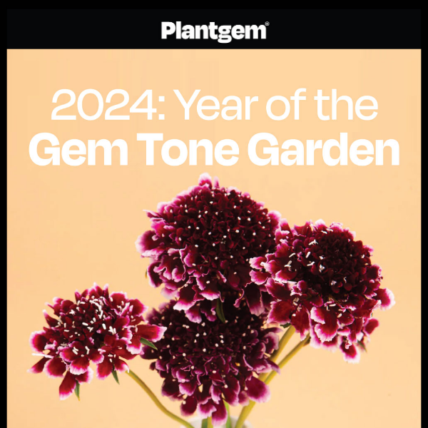 Gem Tone Gardens in 2024