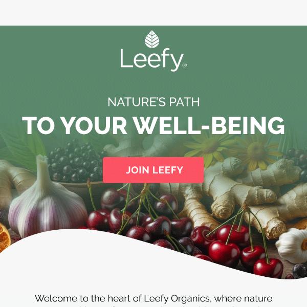 Holistic Nutrition - The Core of Leefy Organics