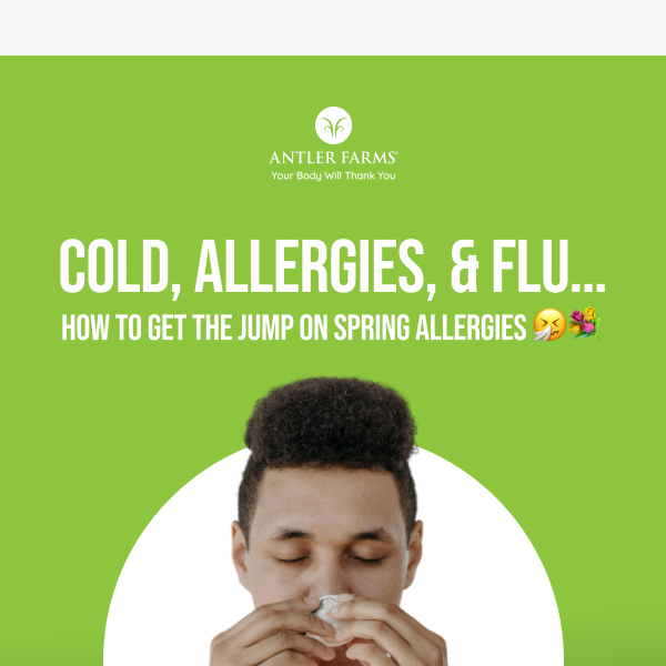 Combat spring allergies with these… 👉