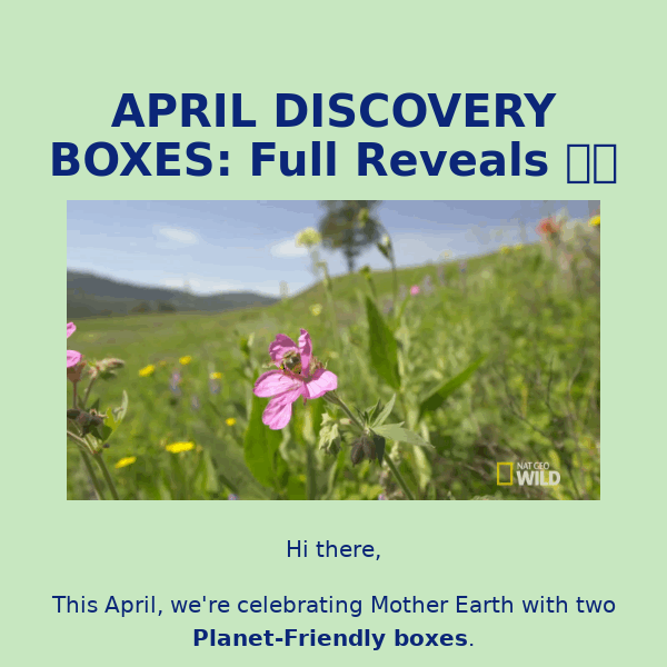 April Vegan Boxes: Full Reveals 🐝