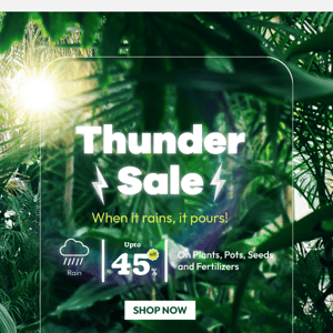 Get up to 45% OFF for next 9 hours and Bring Nature Home