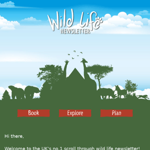 Wild Life Newsletter 🐾