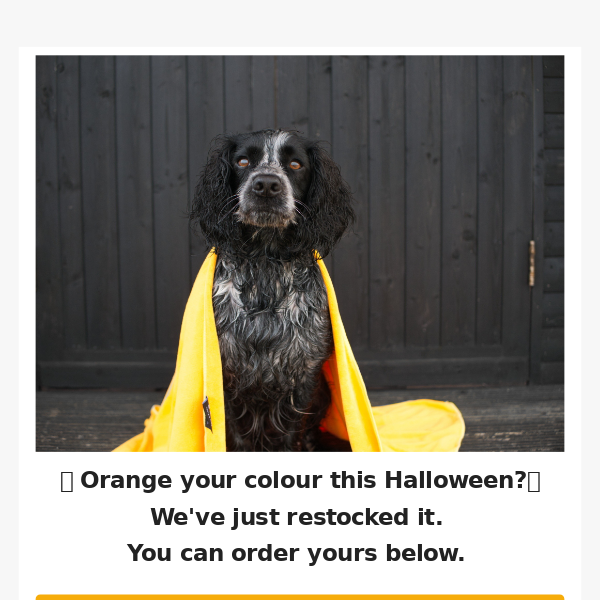 🎃Is orange your colour this Halloween?🎃