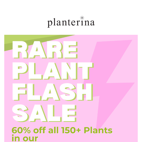 RARE flash sale starts NOW.😎