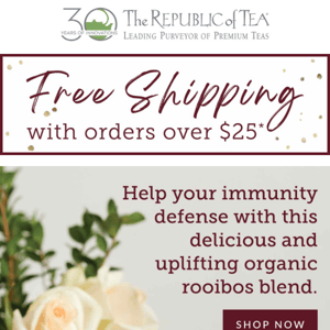 Ends Soon: A Free Shipping Offer For You