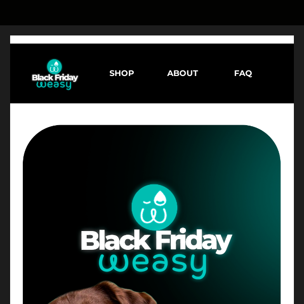 Hey, Black Friday Weasy is on already! 🔥