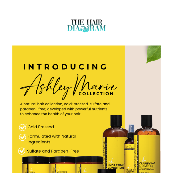 🎉Introducing...The Ashley Marie Collection