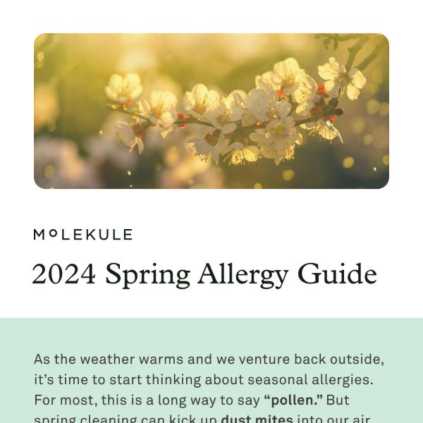 How to Protect Yourself from Spring Allergies 🌸 🤧