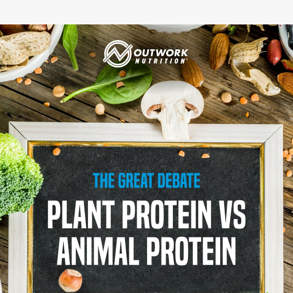 Plant vs Animal Protein