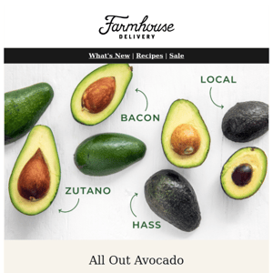 Holy Guacamole! 🥑 We're Going All Out On Avocados