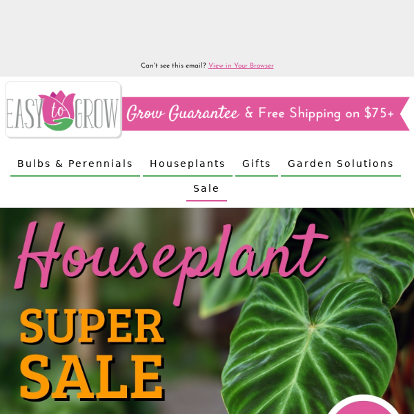 HUGE Houseplant Sale 🪴 30% Off All Weekend!