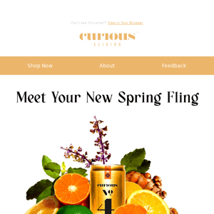 ☀️ meet your new spring fling