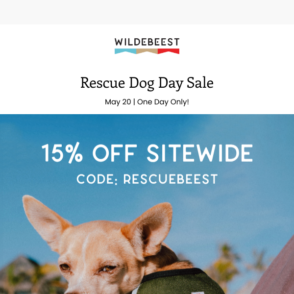 Spoil Your Beest With Our Rescue Dog Sale!  🐾