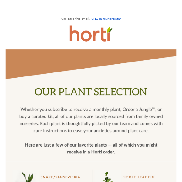 Find the perfect houseplant for your space