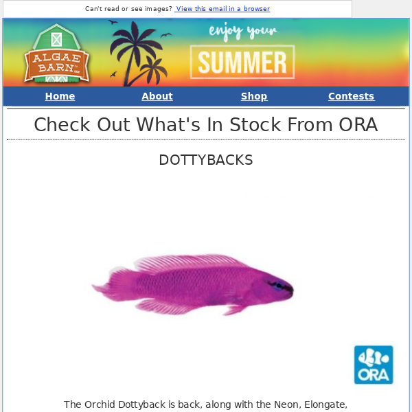 Tons of ORA Fish and Coral Back in Stock!