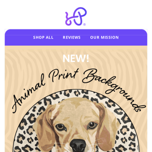 NEW! Animal Print Backgrounds 🦓 🦒 🐅