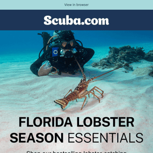 Florida Lobster Season Starts Tomorrow! 🦞